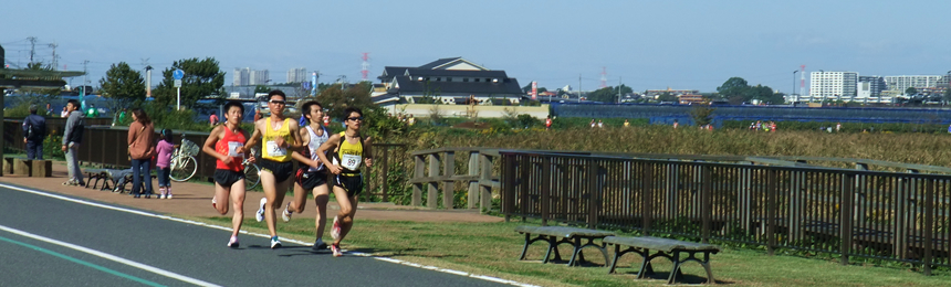 2013.10.27　手賀沼マラソン